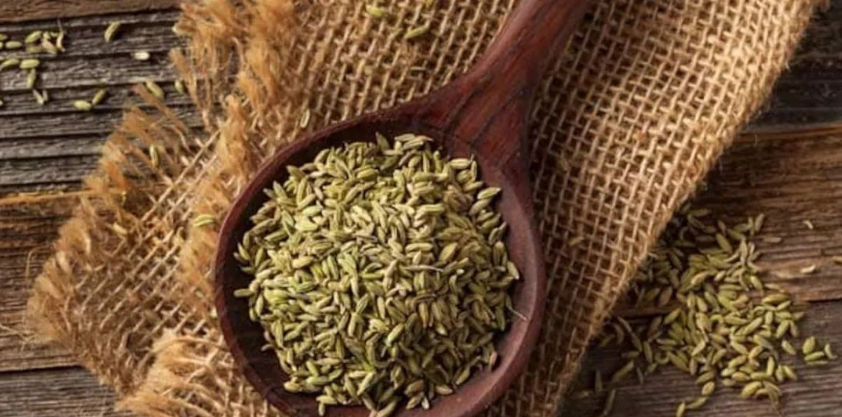 如何食用茴香对健康有益?(下)