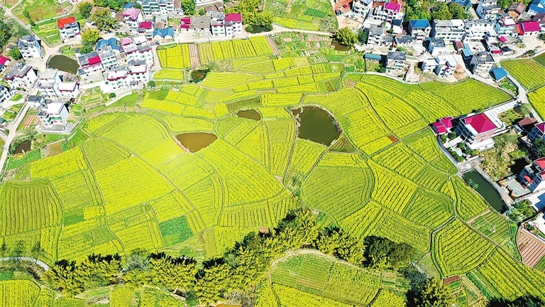 无人机航拍的兴国县长冈乡长冈村田园美景.