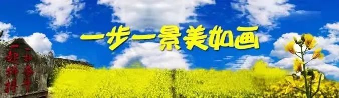 花儿临夏，一步一景美如画！