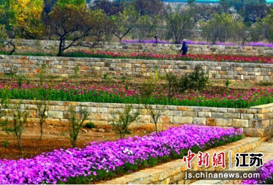 大洞山梯田美景。 徐州市贾汪生态环境局供图
