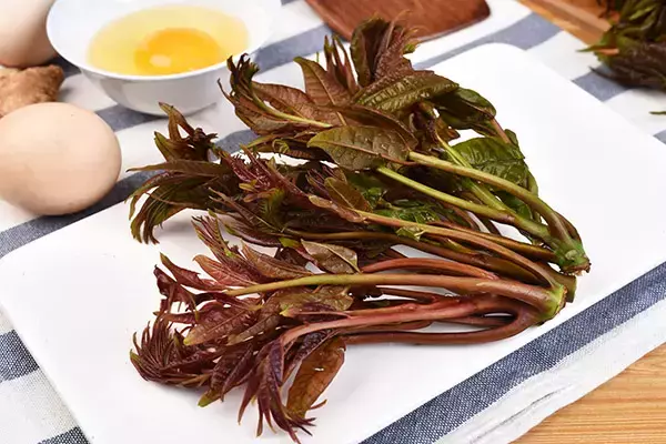 吃香椿前，千万别忘记这一步