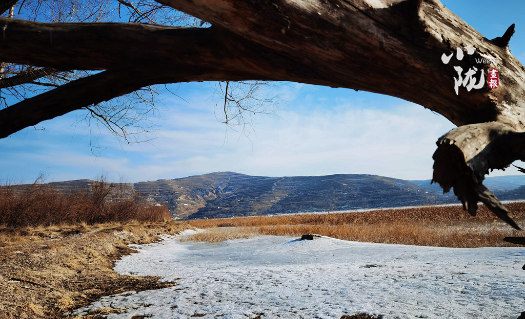 【小陇画报】兰州沿川湖：冰封一潭春水 萌发绿色希望