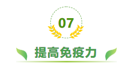 如何食用茴香对健康有益?(下)