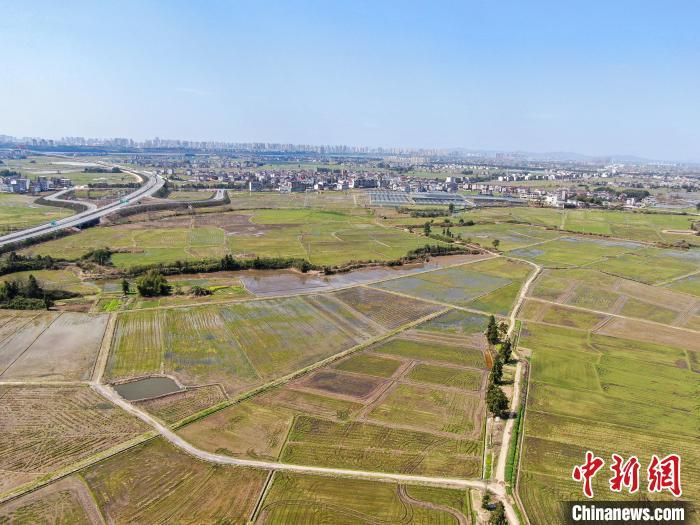 航拍江西赣抚平原一幅秀美春日田园画卷