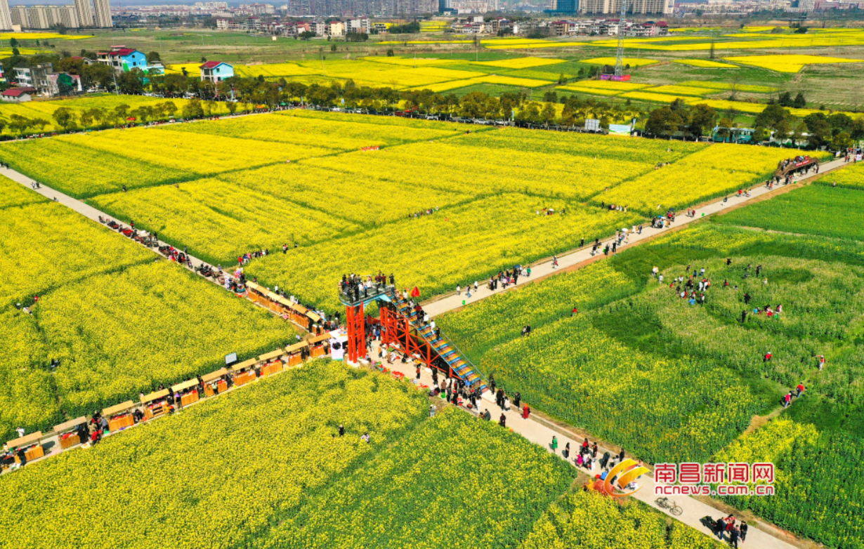 南昌安义县春天的笑脸图