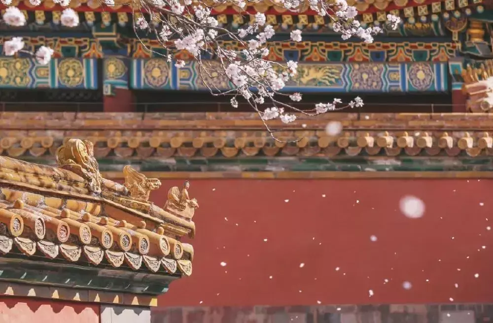 越中式,越高级:新中式家居的流行配色有多好看?