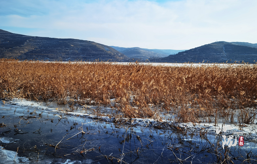 【小陇画报】兰州沿川湖：冰封一潭春水 萌发绿色希望