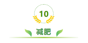 如何食用茴香对健康有益?(下)