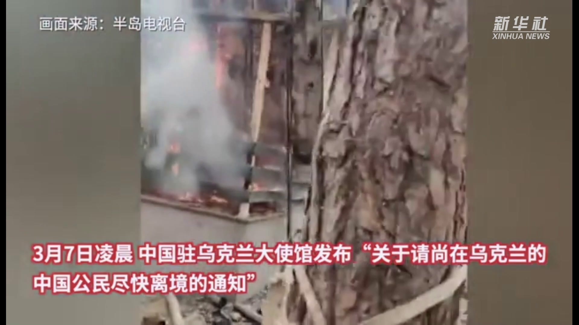 参考视频|中国驻乌克兰大使馆发布通知“请中国公民尽快撤离”