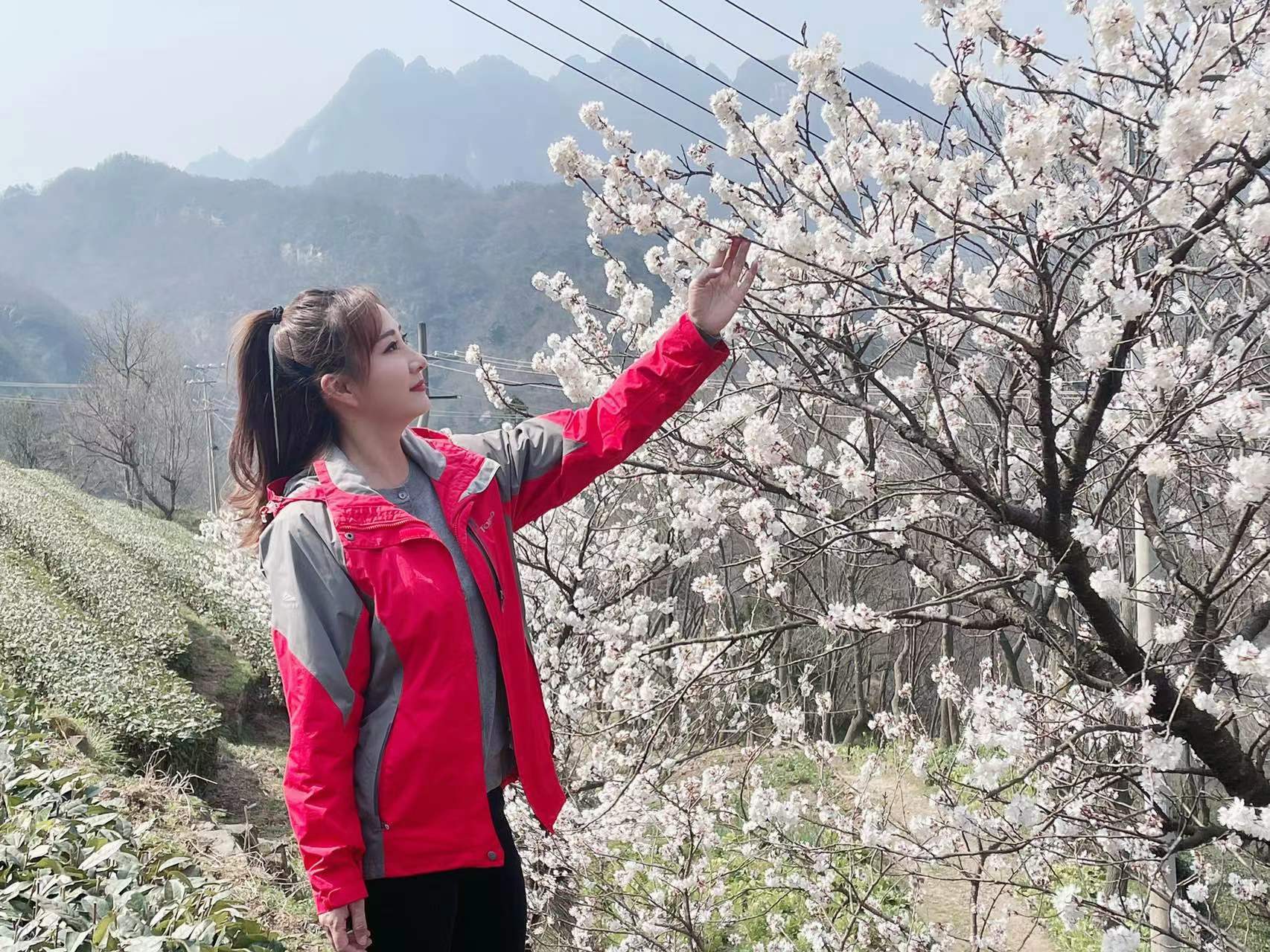 花有约春不误 我在武当八仙观等你！