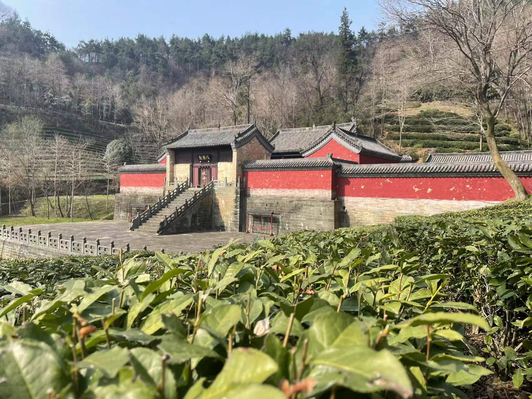 花有约春不误 我在武当八仙观等你！