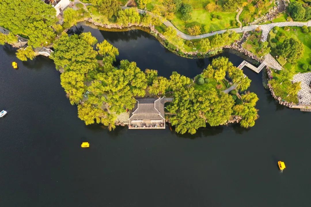 月湖公園裡原來藏著一個濃縮的寧波