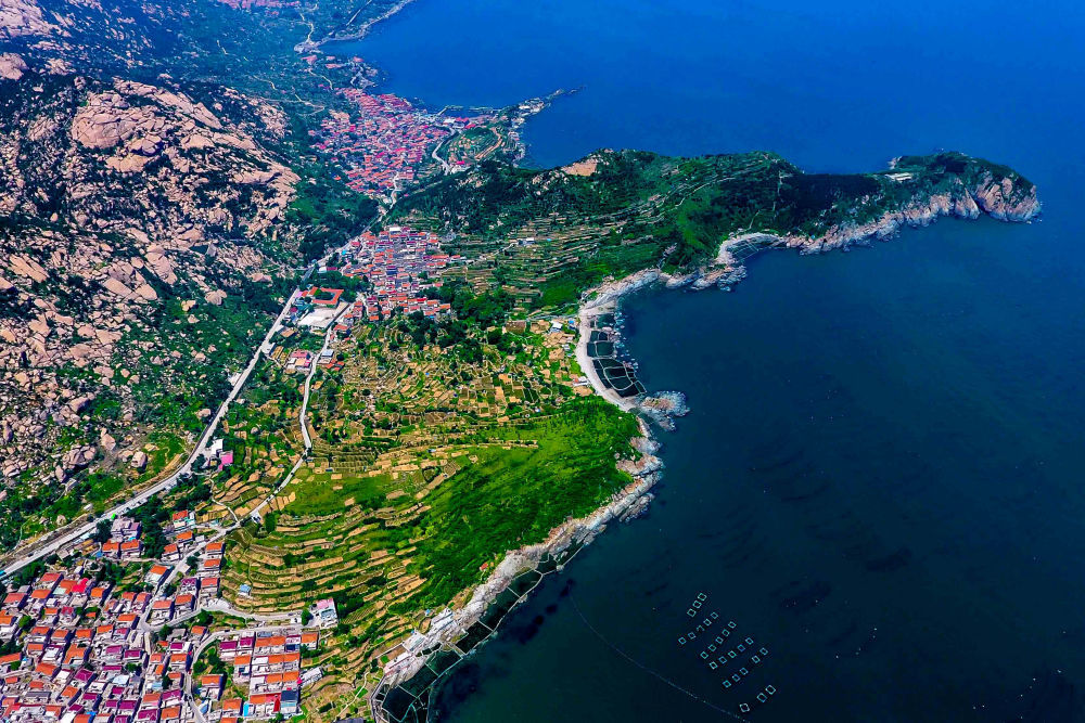 无人机拍摄的山东省青岛市崂山区雕龙嘴村茶园.新华社记者郭绪雷 摄