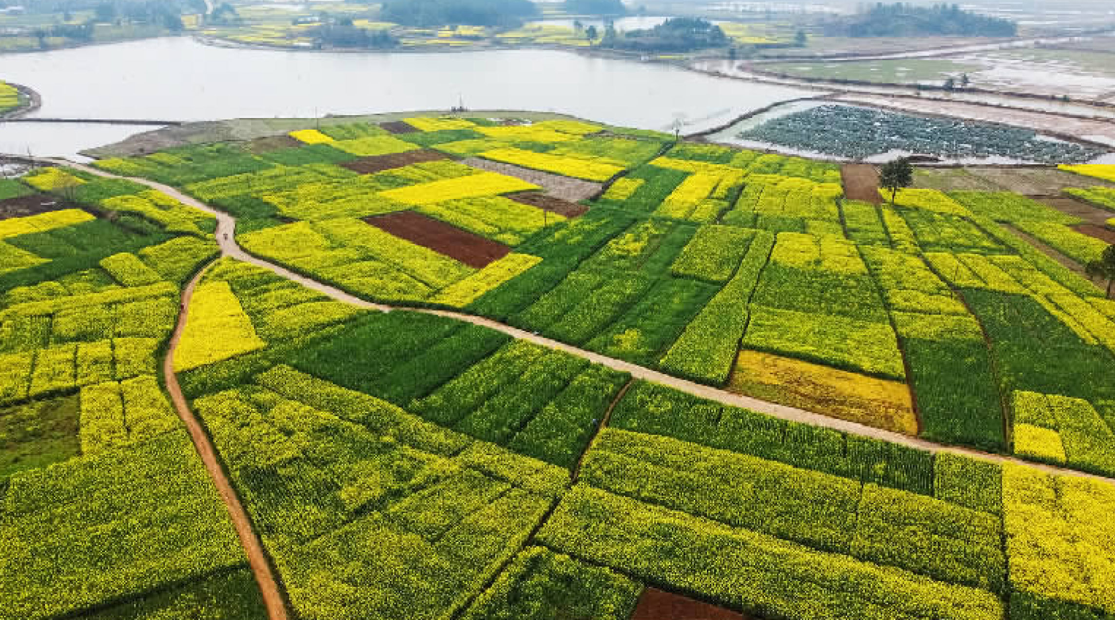 余干:好一幅春景图(图)凤凰网江西_凤凰网