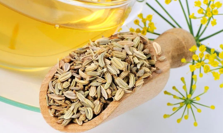 如何食用茴香对健康有益?(下)