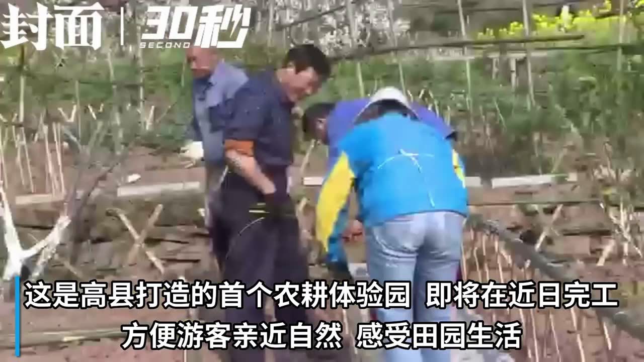 30秒｜自行播种、浇水、施肥，四川宜宾高县首个“开心农场”即将亮相