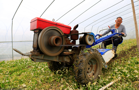 菜农正在操作机器翻耕土地