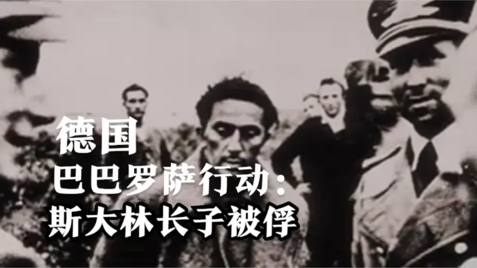 回顾德国巴巴罗萨行动：300万德军猛攻苏联，斯大林长子被俘