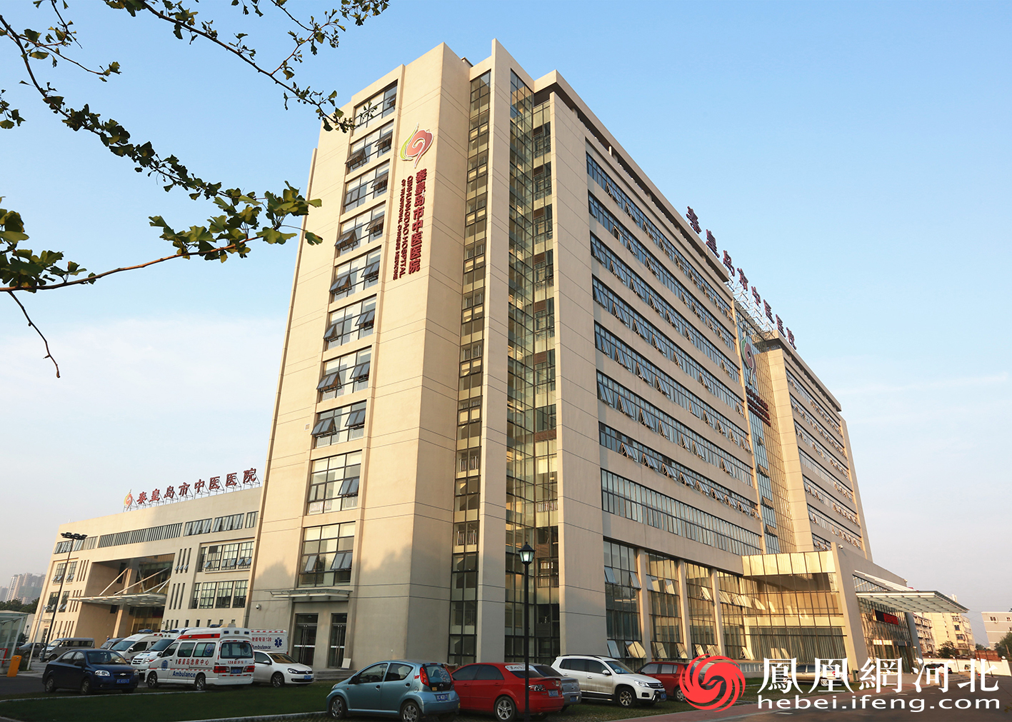 秦皇岛市中医医院荣获全国三八红旗集体称号