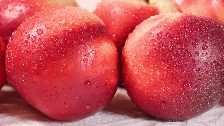 今年撩拨春天的头茬油桃 酥脆细嫩 桃香四溢 凤凰网