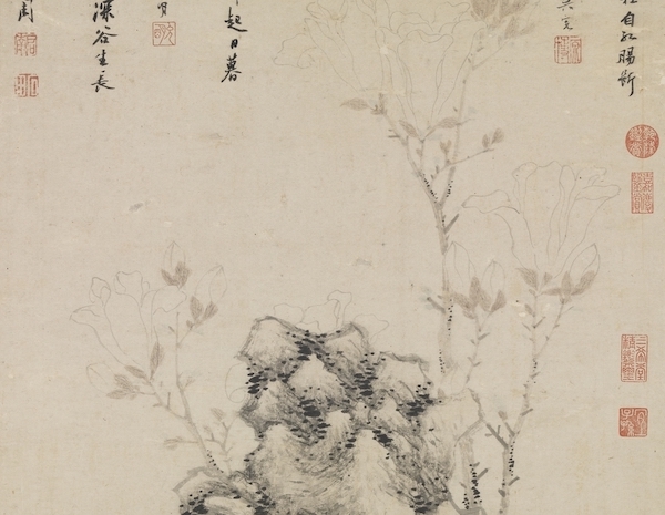 明 沈周 《画芝兰玉树》轴(局部) 台北故宫博物院藏