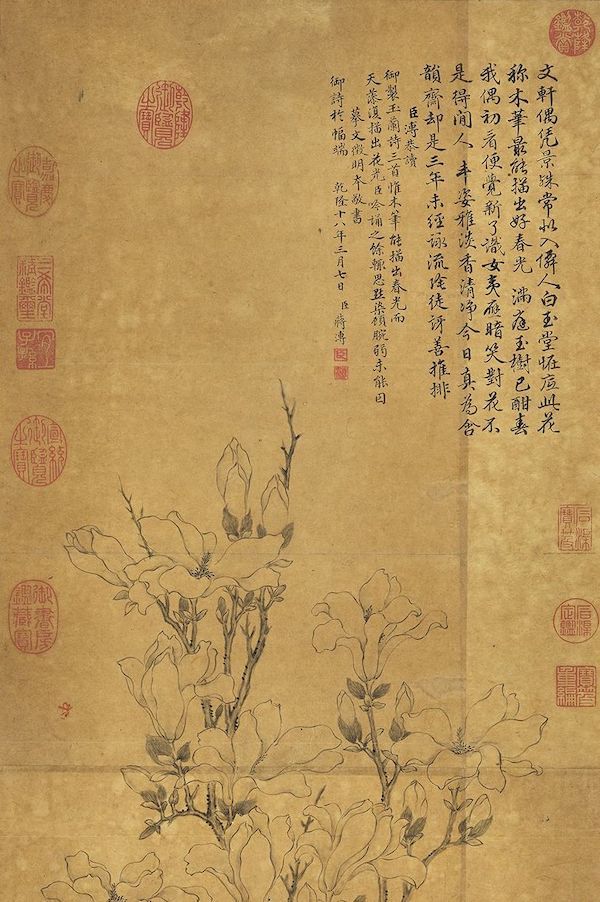 清 蒋溥 《摹文徵明玉兰花》轴(局部) 台北故宫博物院藏