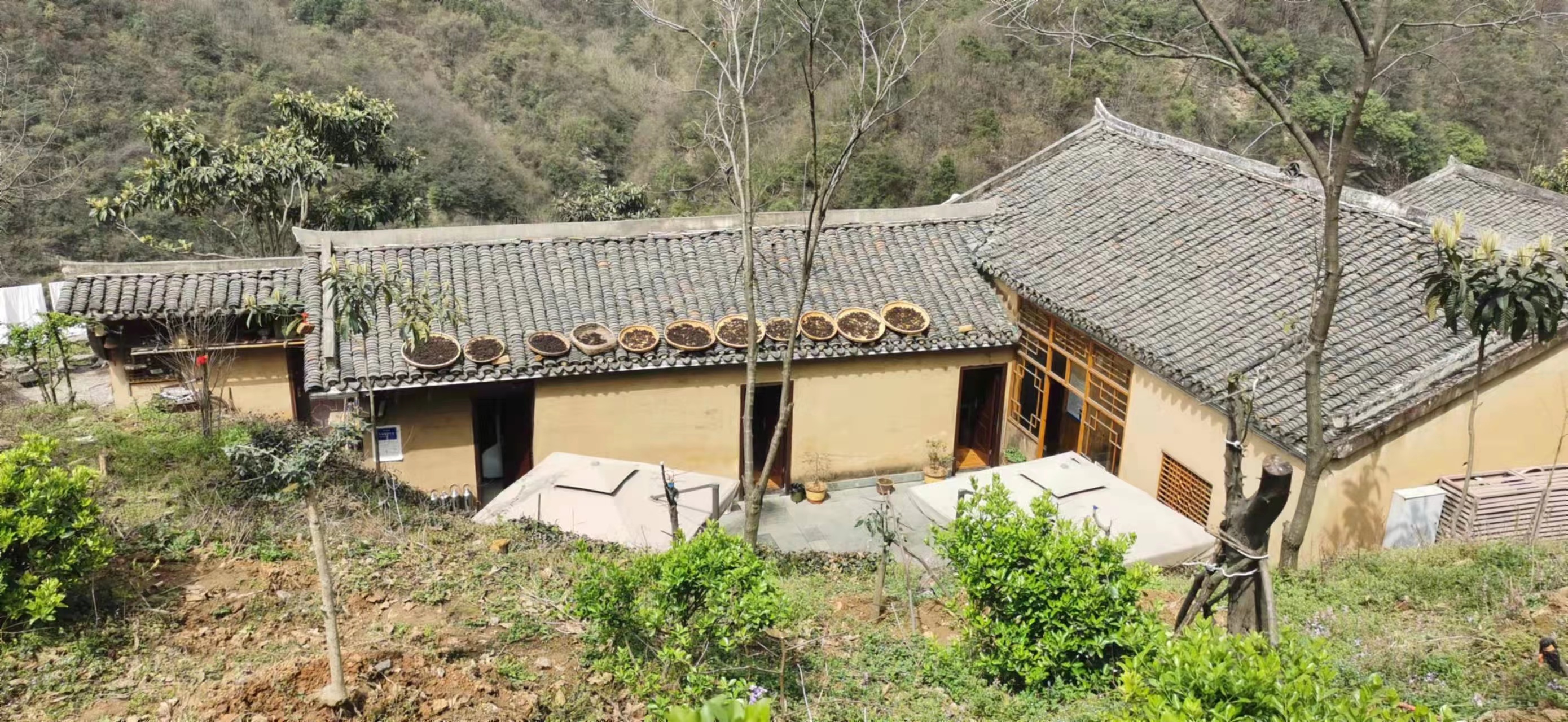 春到武当太子坡来一场治愈身心的旅行