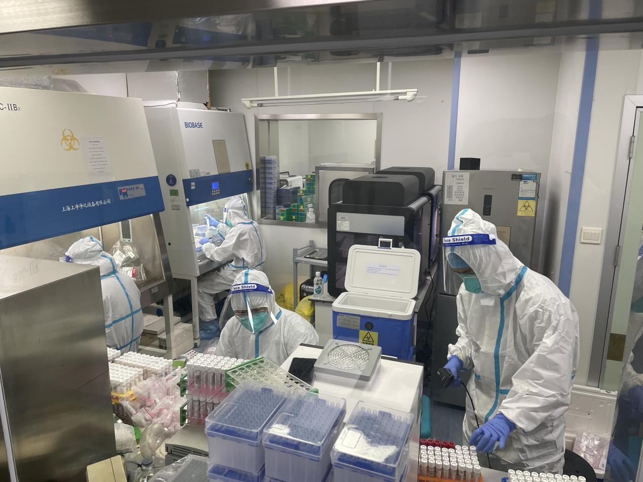 深圳按下“慢行键” 这群人却按下“加速键”
