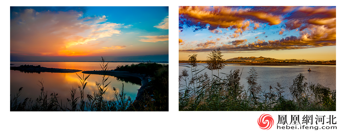 秦皇岛北戴河新区知遇新区爱我家乡系列报道七里海