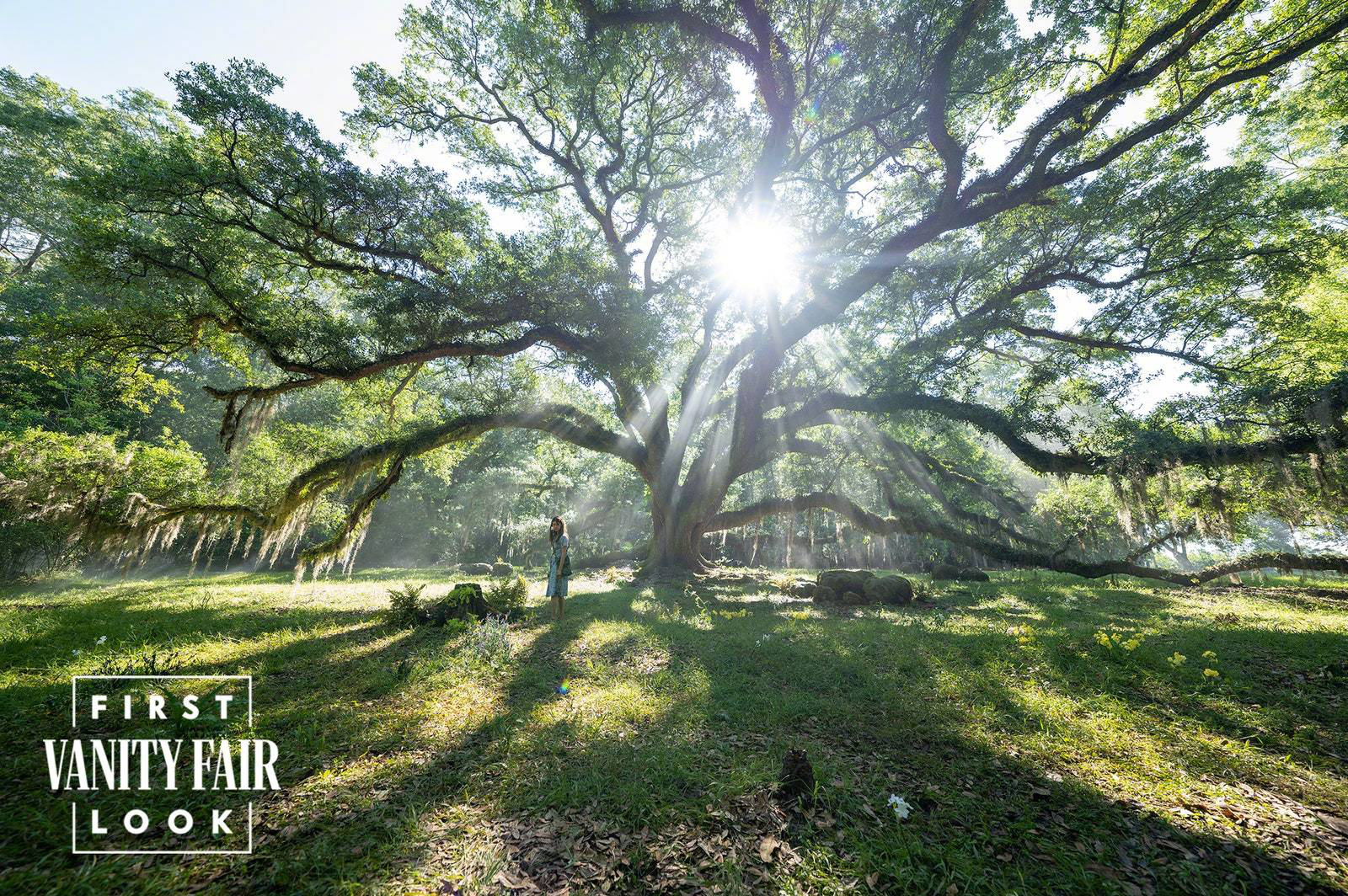 电影《蝲蛄吟唱的地方》曝剧照 自然景致令人留恋