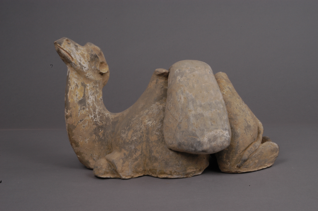 在敦煌壁画里春游是什么感觉瞧机会来了