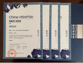 2020中国可视化与可视分析大会项目（China VISAP‘20）艺术可视化学生竞赛银奖证书