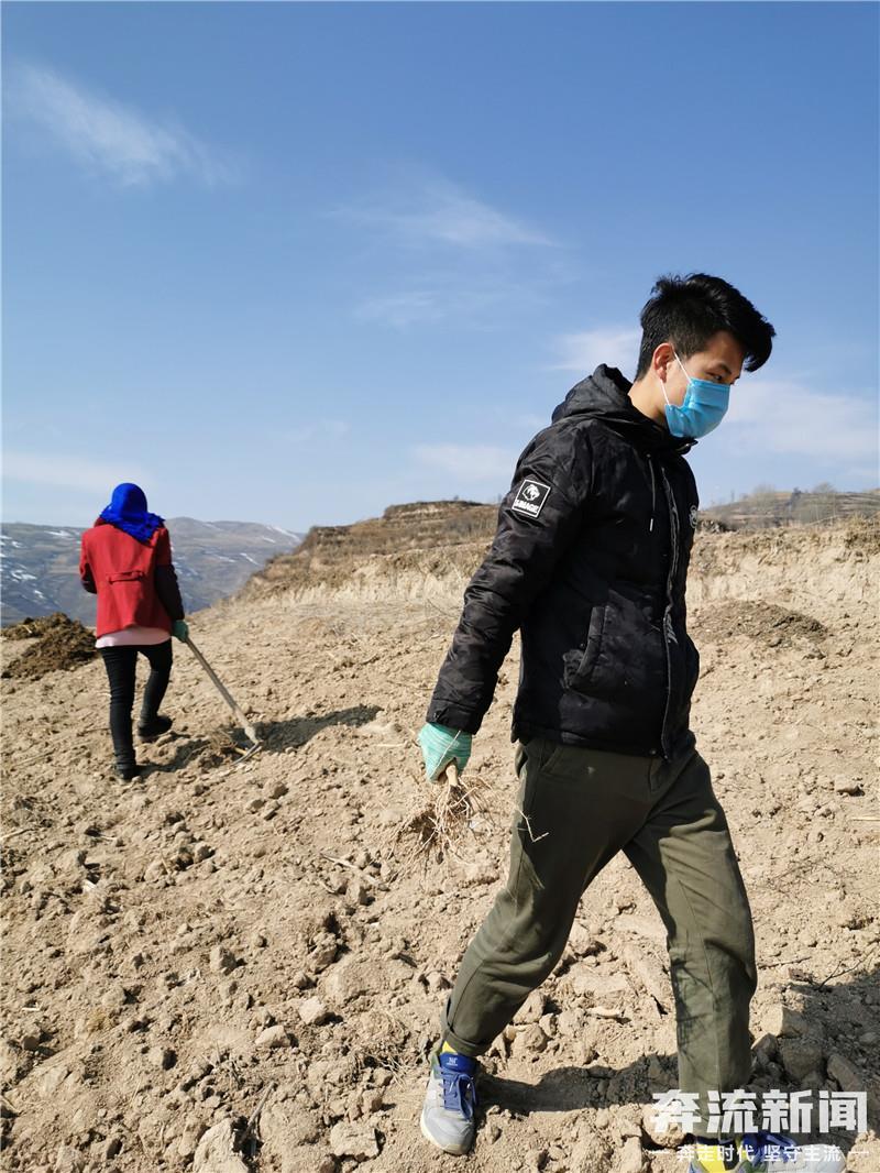 ▲王军和家人在田里劳作