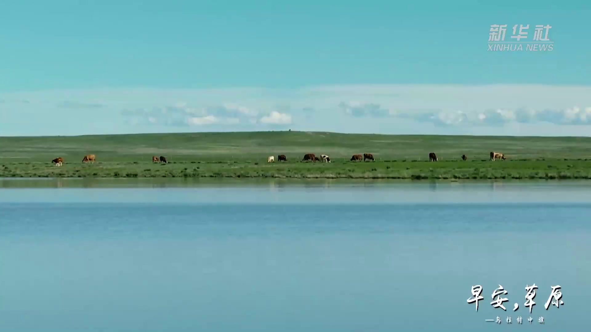 千城胜景｜乌拉特中旗：早安，草原