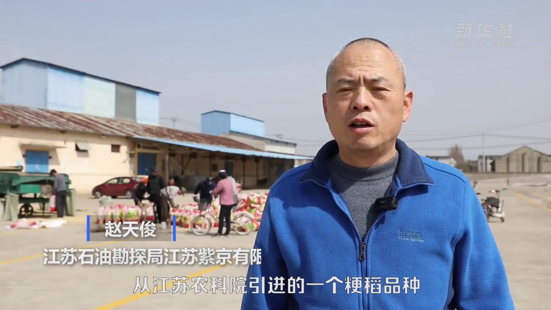 江苏洪泽：稻种加工保供应