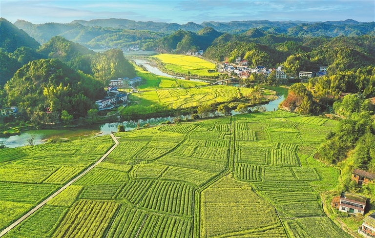 萍乡湘东区田园美景图