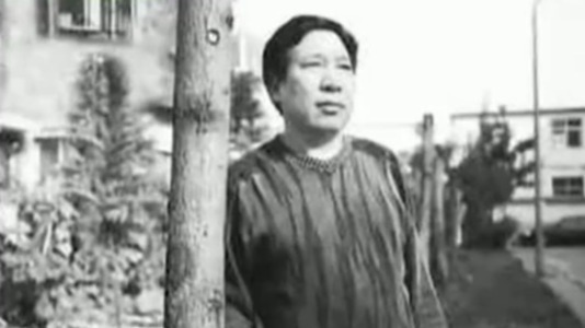 阎连科为何一定要当作家?逃离土地的强烈欲望是最大动力_凤凰网视频_凤凰网