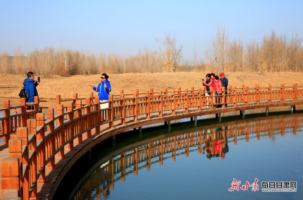 30公里亲水观景之旅火出圈 张掖湿地公园成热门打卡地