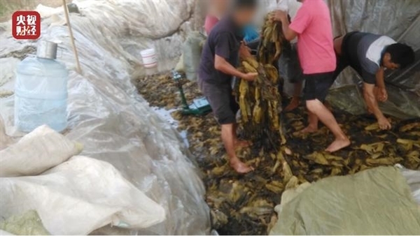 土坑酸菜涉事企业相关人员被控制：统一的老坛酸菜究竟是哪的？