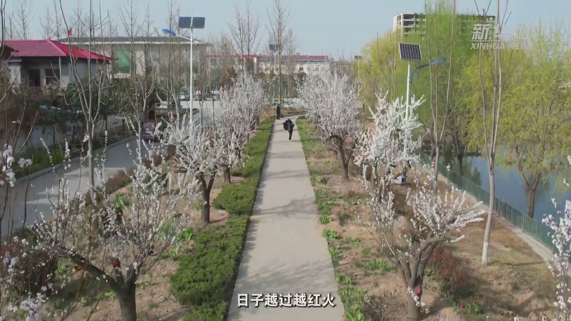 全国人大代表李连成：两会归来宣讲忙 乡村振兴再出力