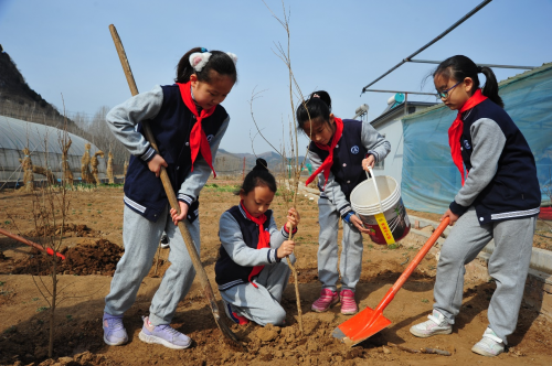 指尖繡綠時少年植樹忙山東師範大學附屬小學三5中隊少年踏春行