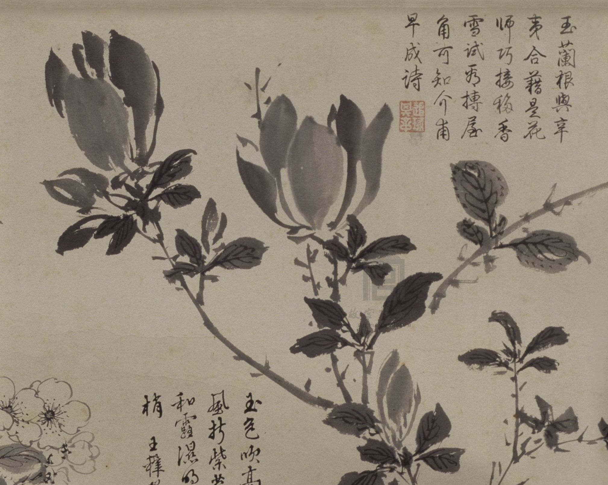 明 周之冕 《百花图》卷(局部) 故宫博物院藏