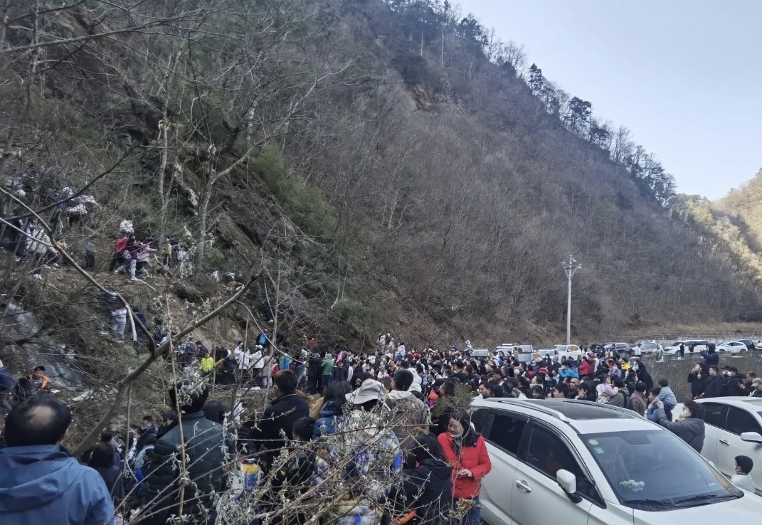 朝阳沟的猴山人山人海，都是等待喂食金丝猴的游客