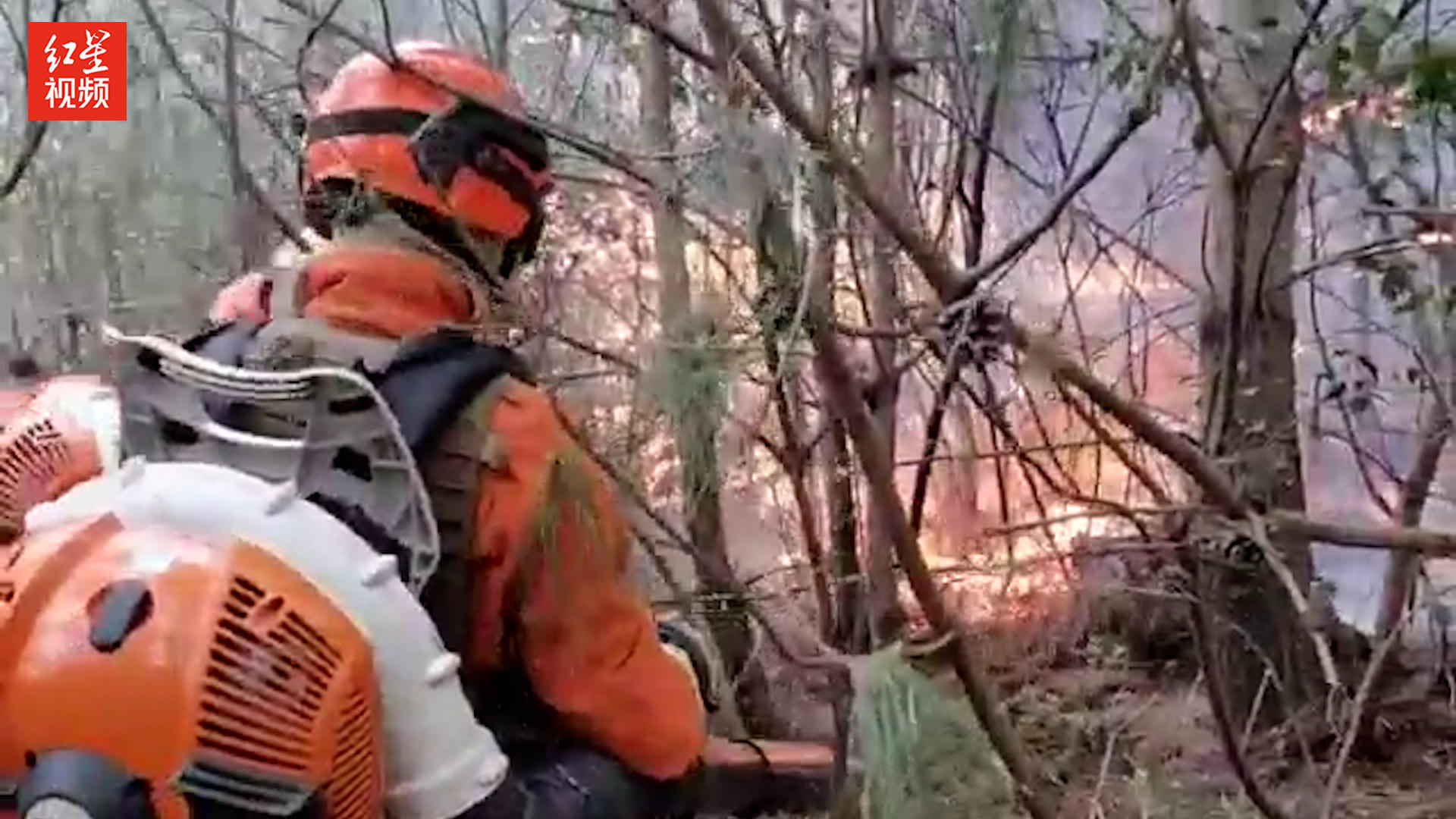 云南大理苍山林区发生森林火灾 650名专业扑火队员及直升机投入扑救