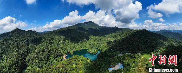 肇庆鼎湖山 广东省林业局 供图