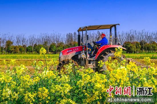 姜山镇美丽田园一景。 余璐供图