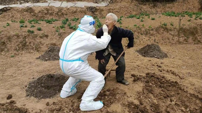 大白追到田里给农民爷爷做核酸_凤凰网资讯_凤凰网
