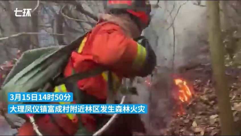 云南大理凤仪镇富成村山火燃烧3天后被扑灭