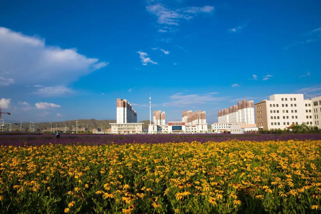 华藏寺而得名,地处黄河流域庄浪河上游,是天祝藏族自治县县城所在地,g