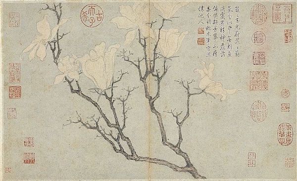 明 沈周 写生册《玉兰》 台北故宫博物院藏